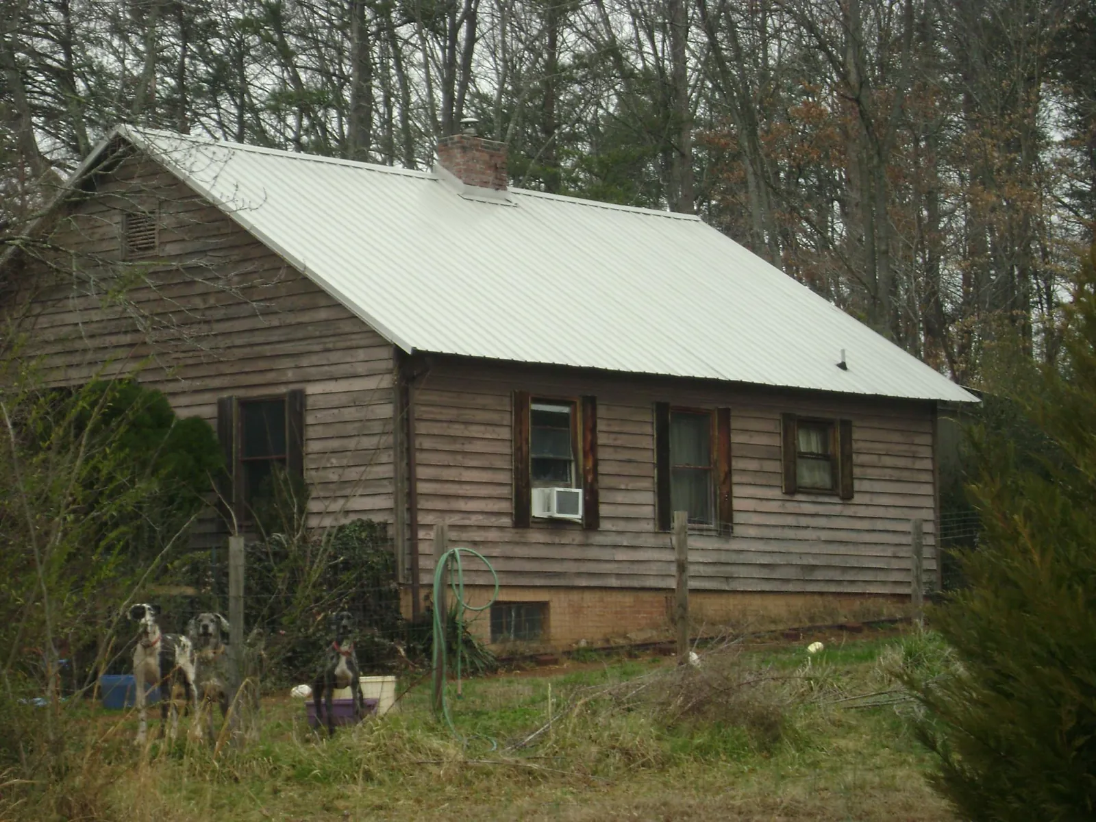 White metal roof on an old wood sided farmhouse, from a Asphalt Shingle Roof Repair job in Traphill